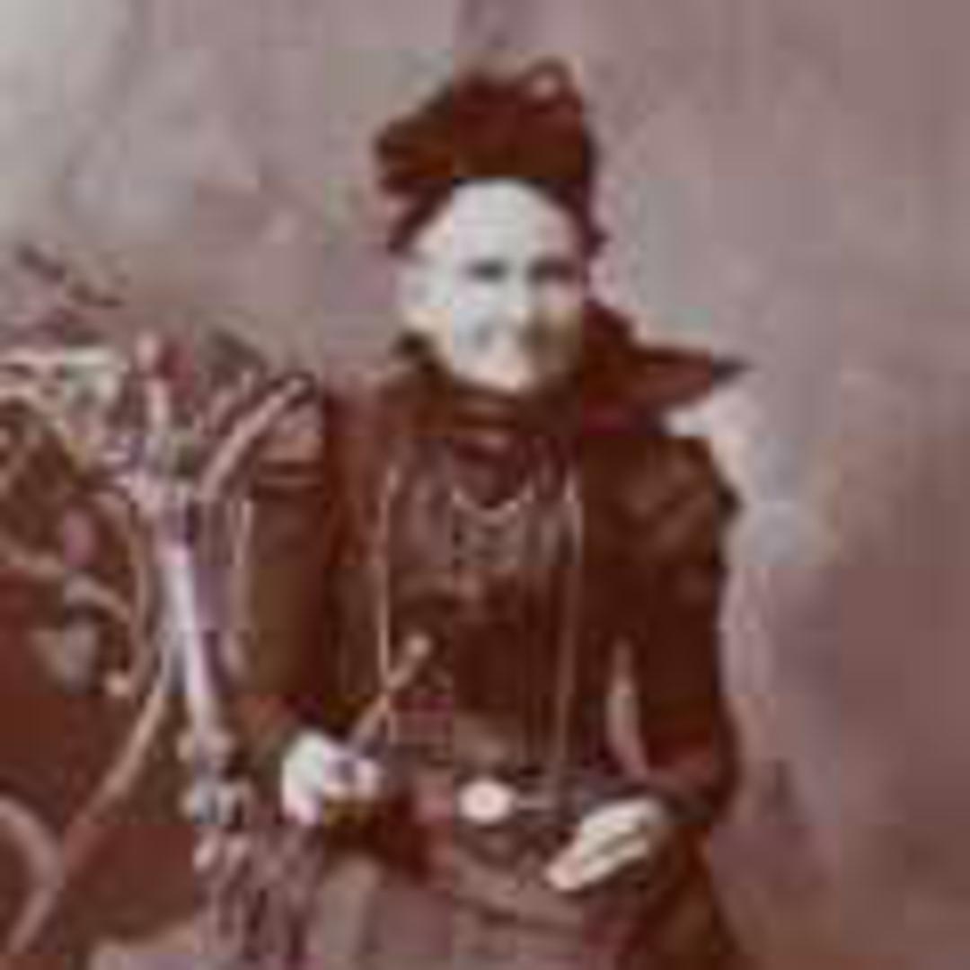 Sarah Ellen Barnes (1826 - 1906)